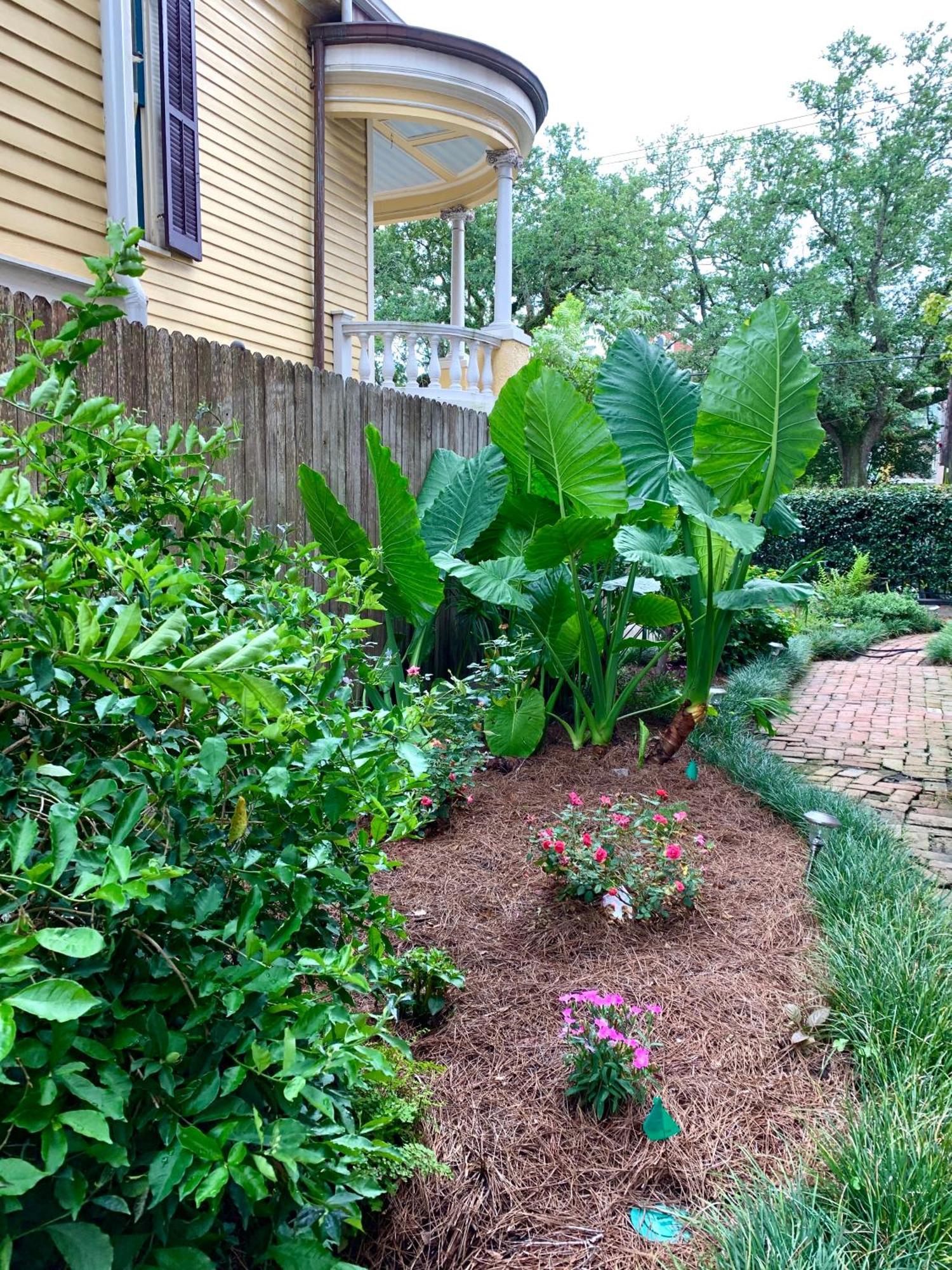 French Quarter Lanaux Mansion Bed And Breakfast 新奥尔良 客房 照片